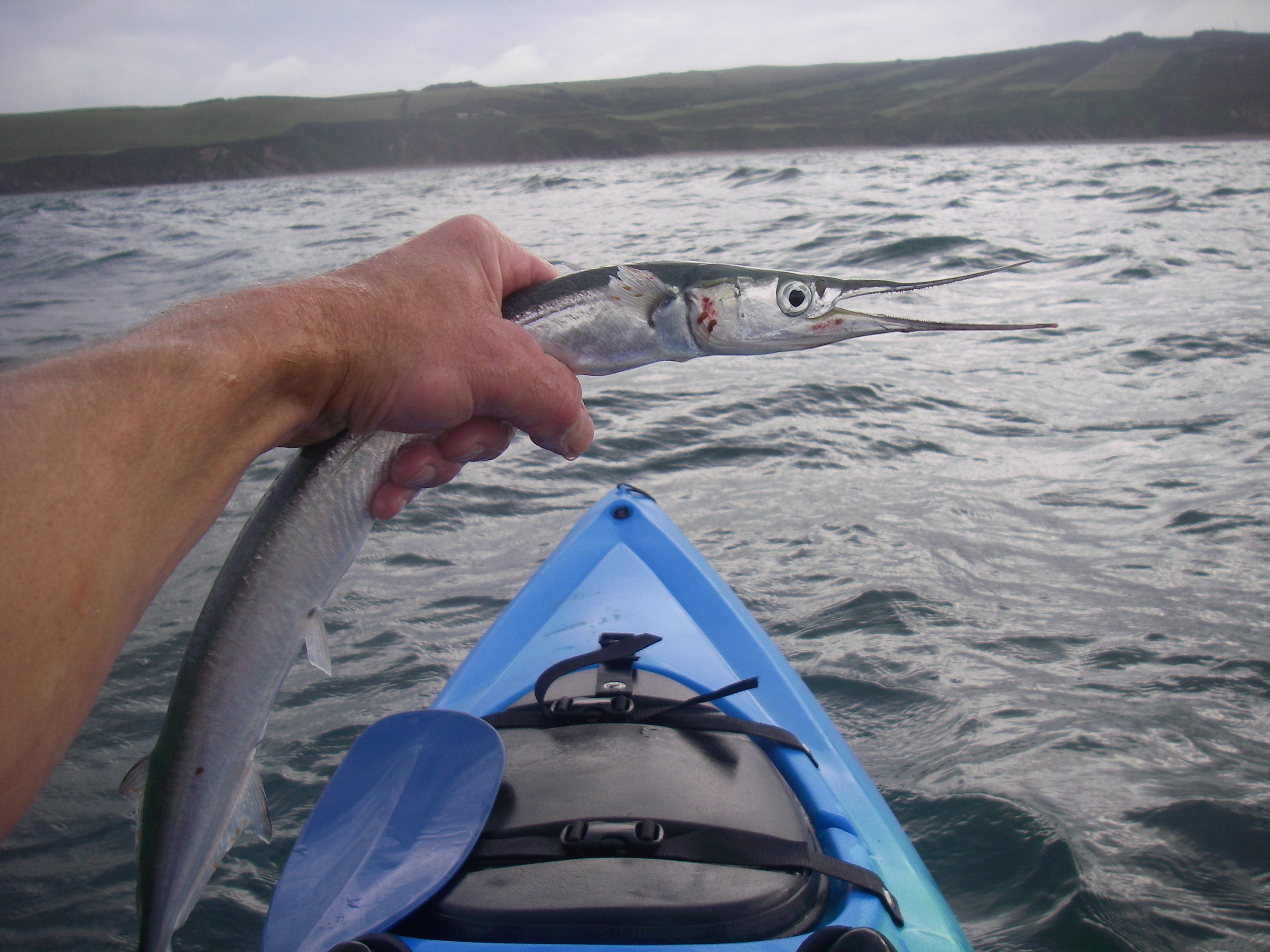 Cornish Shore and Kayak Fisherman: Top Sea Bass Lures